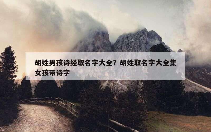 胡姓男孩诗经取名字大全？胡姓取名字大全集女孩带诗字
