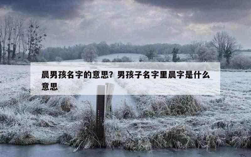 晨男孩名字的意思？男孩子名字里晨字是什么意思