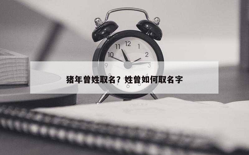 猪年曾姓取名？姓曾如何取名字
