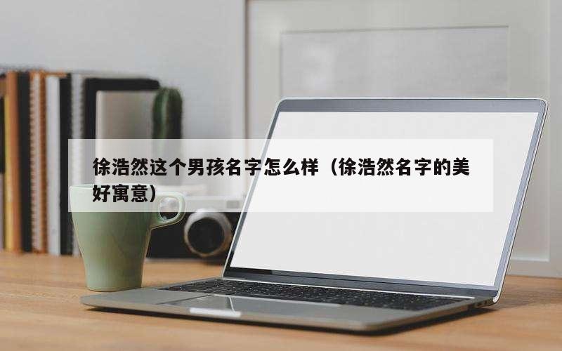 徐浩然这个男孩名字怎么样（徐浩然名字的美好寓意）