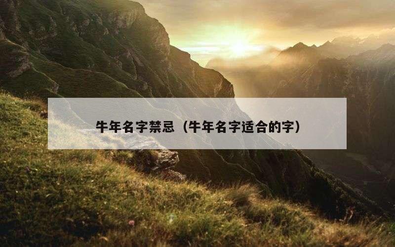 牛年名字禁忌（牛年名字适合的字）