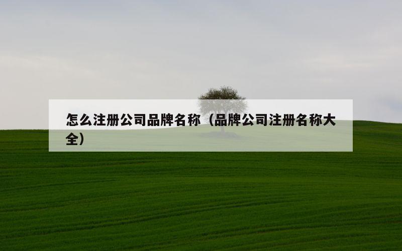 怎么注册公司品牌名称（品牌公司注册名称大全）