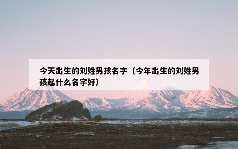 今天出生的刘姓男孩名字（今年出生的刘姓男孩起什么名字好）