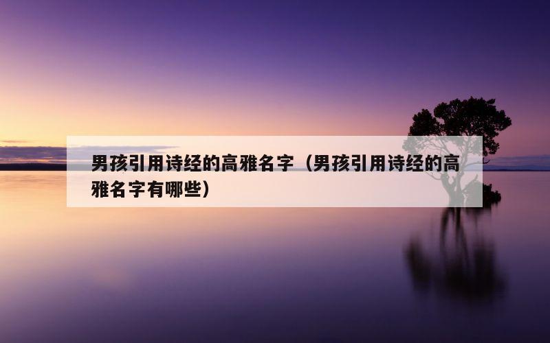 男孩引用诗经的高雅名字（男孩引用诗经的高雅名字有哪些）