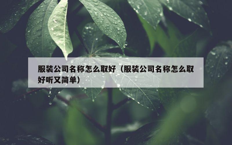 服装公司名称怎么取好（服装公司名称怎么取好听又简单）