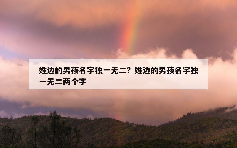 姓边的男孩名字独一无二？姓边的男孩名字独一无二两个字