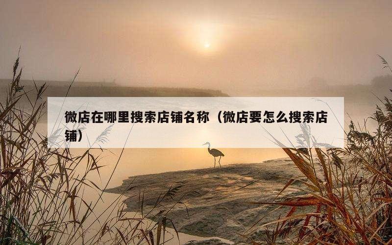 微店在哪里搜索店铺名称（微店要怎么搜索店铺）