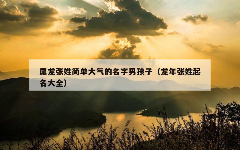 属龙张姓简单大气的名字男孩子（龙年张姓起名大全）