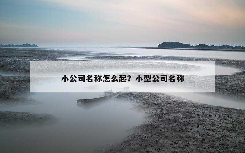 小公司名称怎么起？小型公司名称