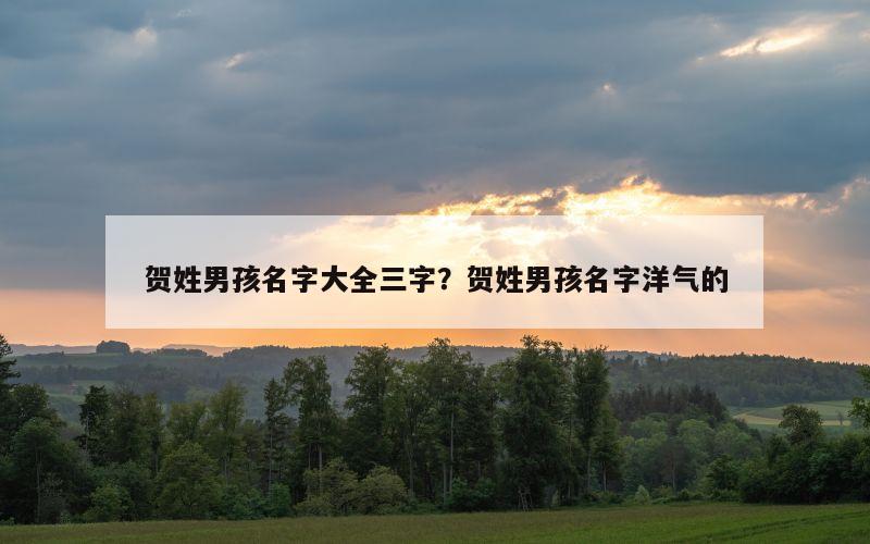 贺姓男孩名字大全三字？贺姓男孩名字洋气的