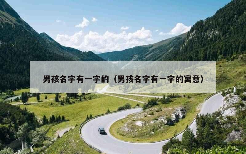 男孩名字有一字的（男孩名字有一字的寓意）