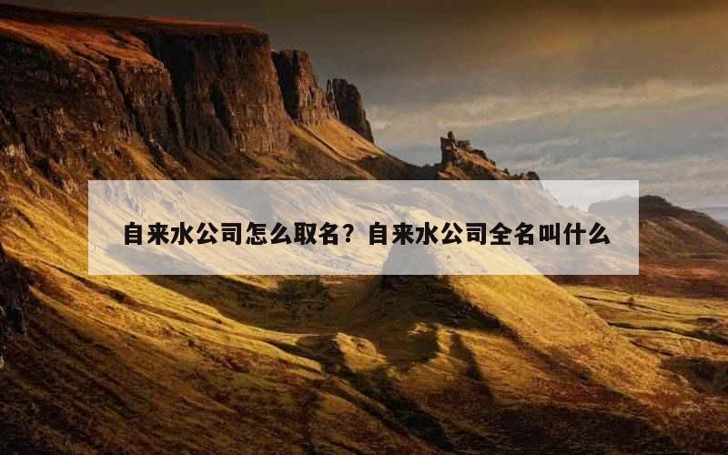 自来水公司怎么取名？自来水公司全名叫什么