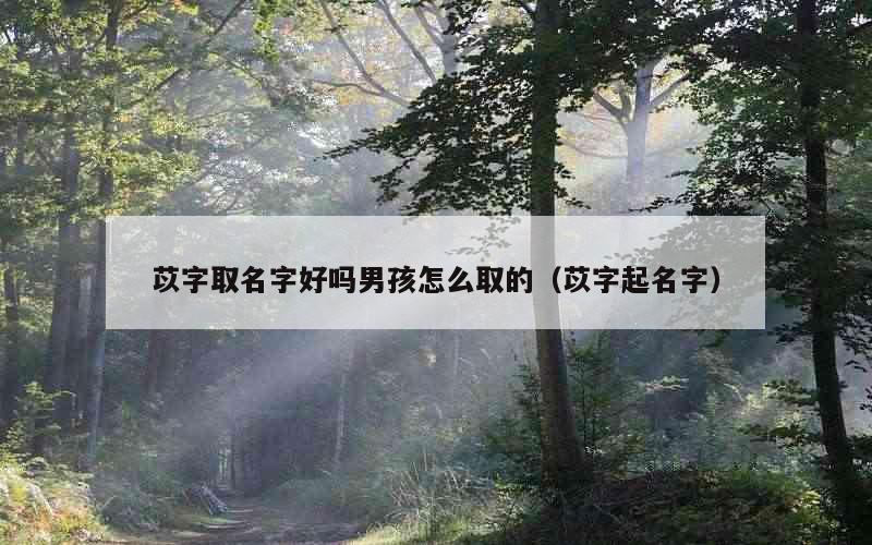 苡字取名字好吗男孩怎么取的（苡字起名字）