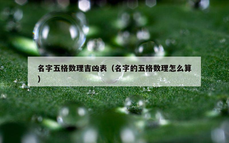 名字五格数理吉凶表（名字的五格数理怎么算）