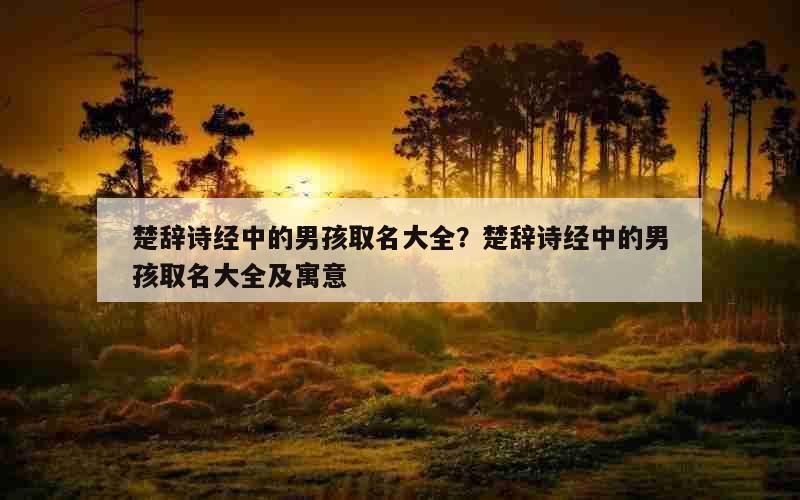 楚辞诗经中的男孩取名大全？楚辞诗经中的男孩取名大全及寓意