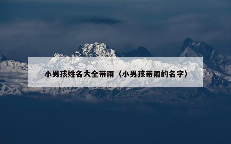 小男孩姓名大全带雨（小男孩带雨的名字）