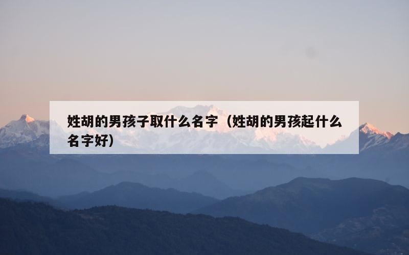 姓胡的男孩子取什么名字（姓胡的男孩起什么名字好）