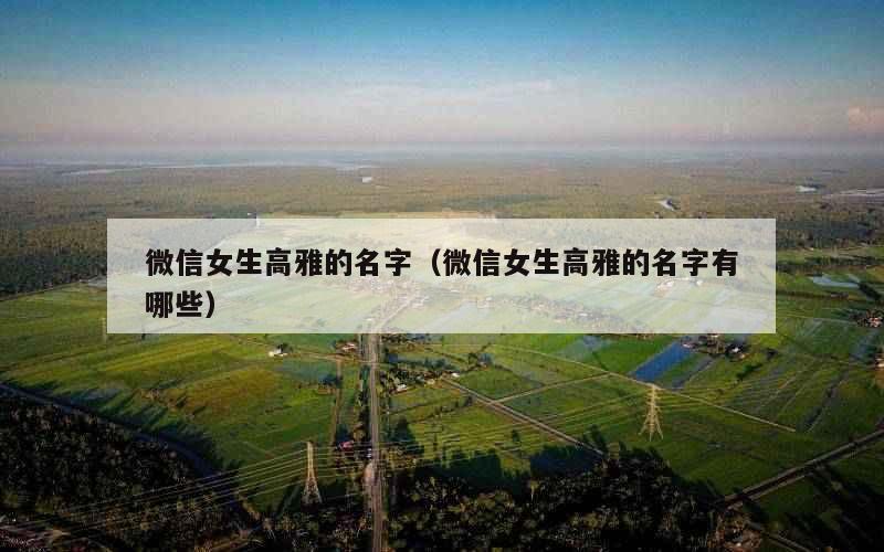 微信女生高雅的名字（微信女生高雅的名字有哪些）