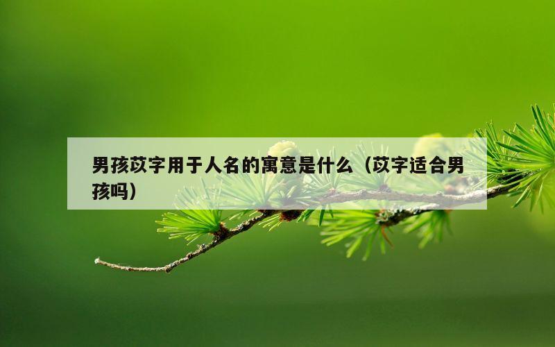 男孩苡字用于人名的寓意是什么（苡字适合男孩吗）