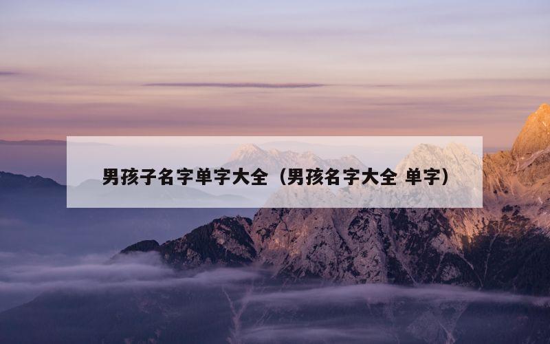 男孩子名字单字大全（男孩名字大全 单字）