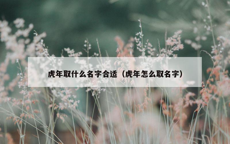 虎年取什么名字合适（虎年怎么取名字）