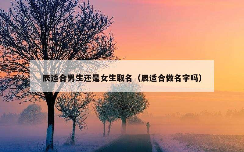 辰适合男生还是女生取名（辰适合做名字吗）