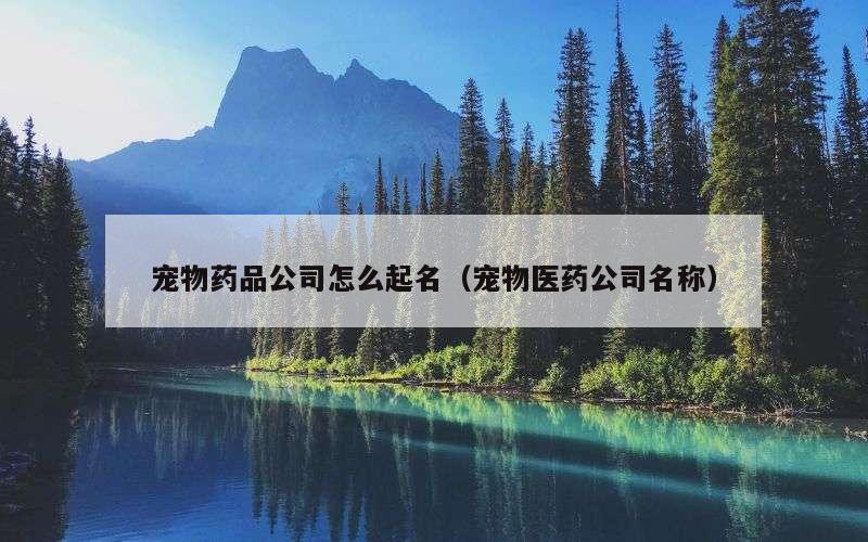 宠物药品公司怎么起名（宠物医药公司名称）