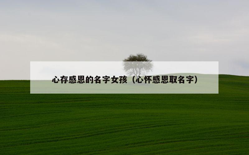 心存感恩的名字女孩（心怀感恩取名字）