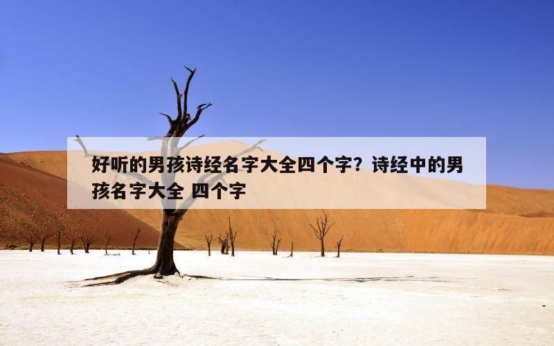 好听的男孩诗经名字大全四个字？诗经中的男孩名字大全 四个字