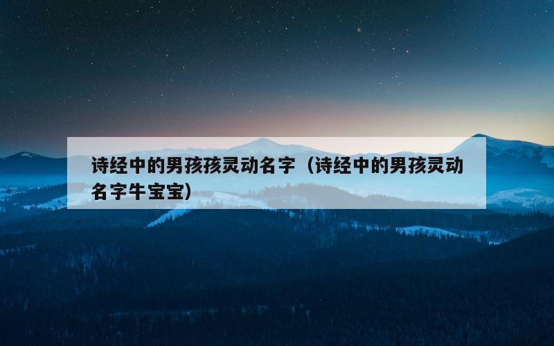 诗经中的男孩孩灵动名字（诗经中的男孩灵动名字牛宝宝）