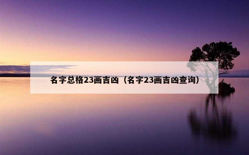 名字总格23画吉凶（名字23画吉凶查询）