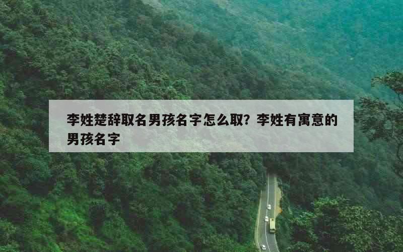 李姓楚辞取名男孩名字怎么取？李姓有寓意的男孩名字