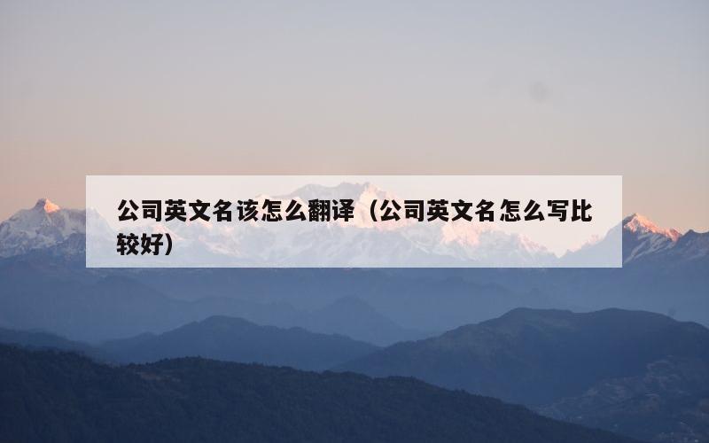 公司英文名该怎么翻译（公司英文名怎么写比较好）