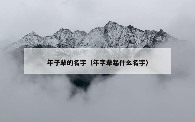 年子辈的名字（年字辈起什么名字）