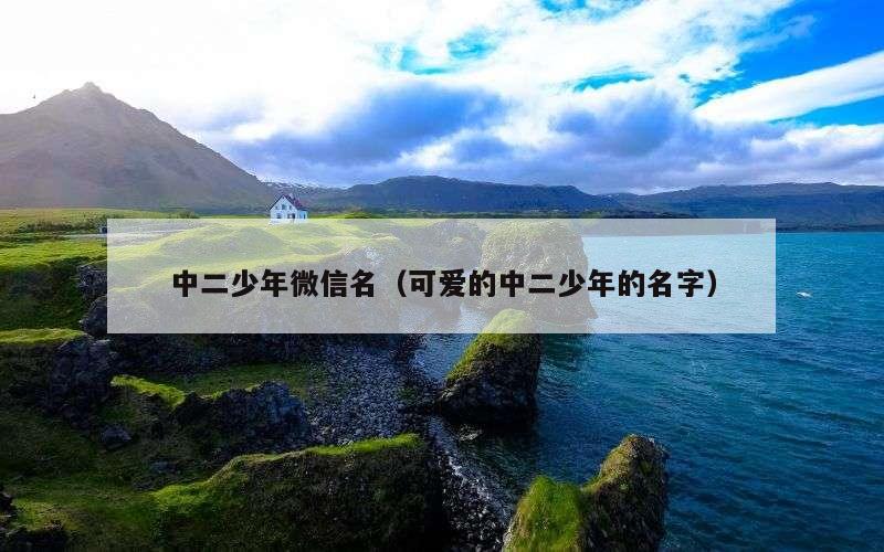 中二少年微信名（可爱的中二少年的名字）
