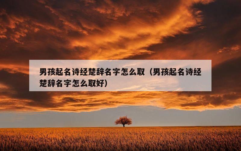 男孩起名诗经楚辞名字怎么取（男孩起名诗经楚辞名字怎么取好）