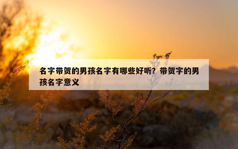 名字带贺的男孩名字有哪些好听？带贺字的男孩名字意义