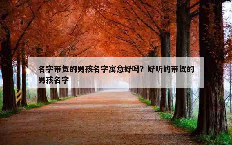 名字带贺的男孩名字寓意好吗？好听的带贺的男孩名字