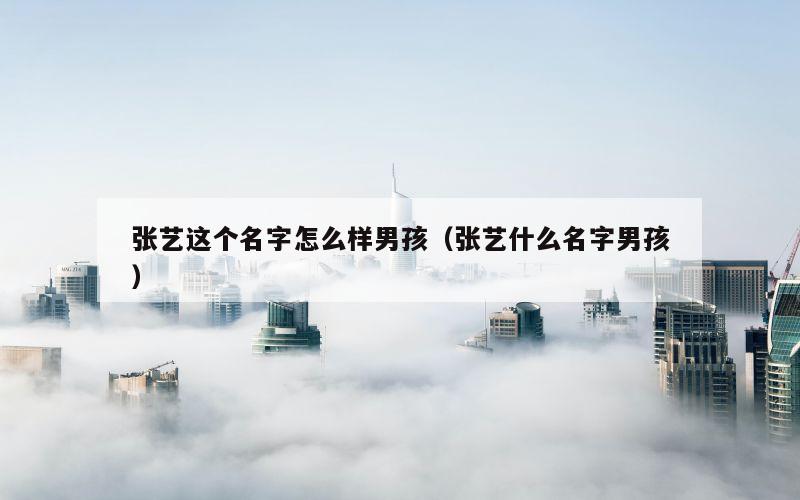 张艺这个名字怎么样男孩（张艺什么名字男孩）