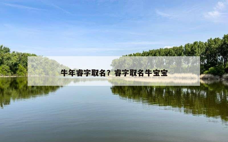 牛年睿字取名？睿字取名牛宝宝
