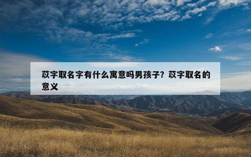 苡字取名字有什么寓意吗男孩子？苡字取名的意义