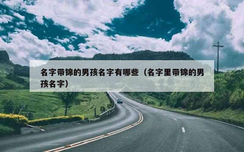 名字带锦的男孩名字有哪些（名字里带锦的男孩名字）
