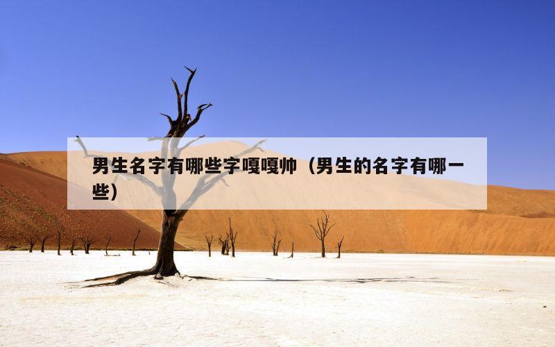 男生名字有哪些字嘎嘎帅（男生的名字有哪一些）