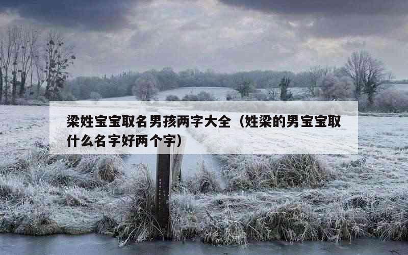 梁姓宝宝取名男孩两字大全（姓梁的男宝宝取什么名字好两个字）