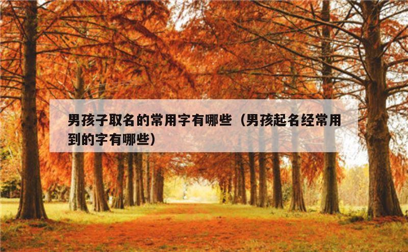 男孩子取名的常用字有哪些（男孩起名经常用到的字有哪些）