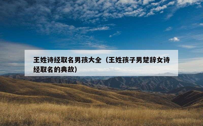 王姓诗经取名男孩大全（王姓孩子男楚辞女诗经取名的典故）