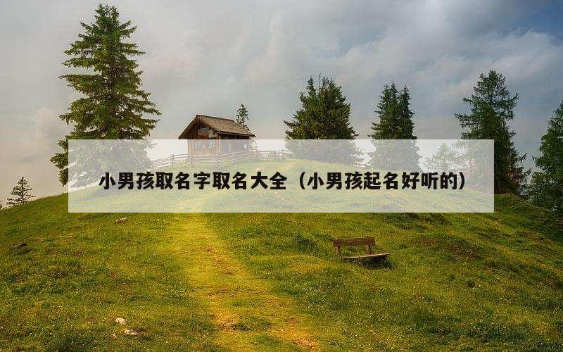 小男孩取名字取名大全（小男孩起名好听的）