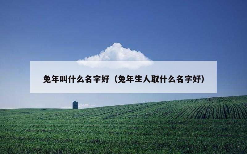 兔年叫什么名字好（兔年生人取什么名字好）