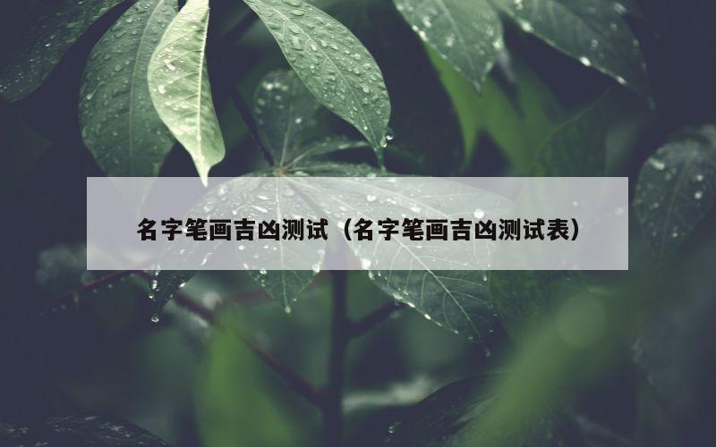 名字笔画吉凶测试（名字笔画吉凶测试表）