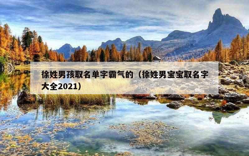 徐姓男孩取名单字霸气的（徐姓男宝宝取名字大全2021）